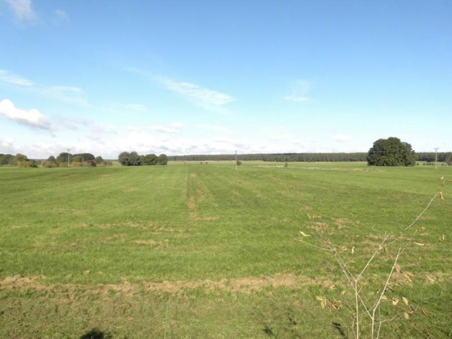 Siedlung Am Wiesengrund, Foto 2