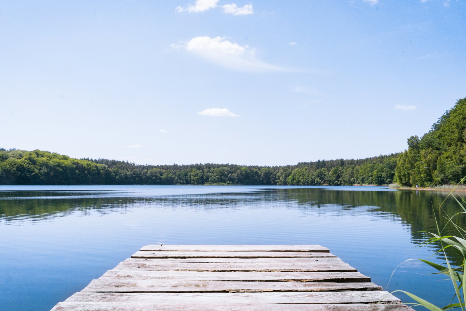 Holzsteg an einem stillen See mit Wald