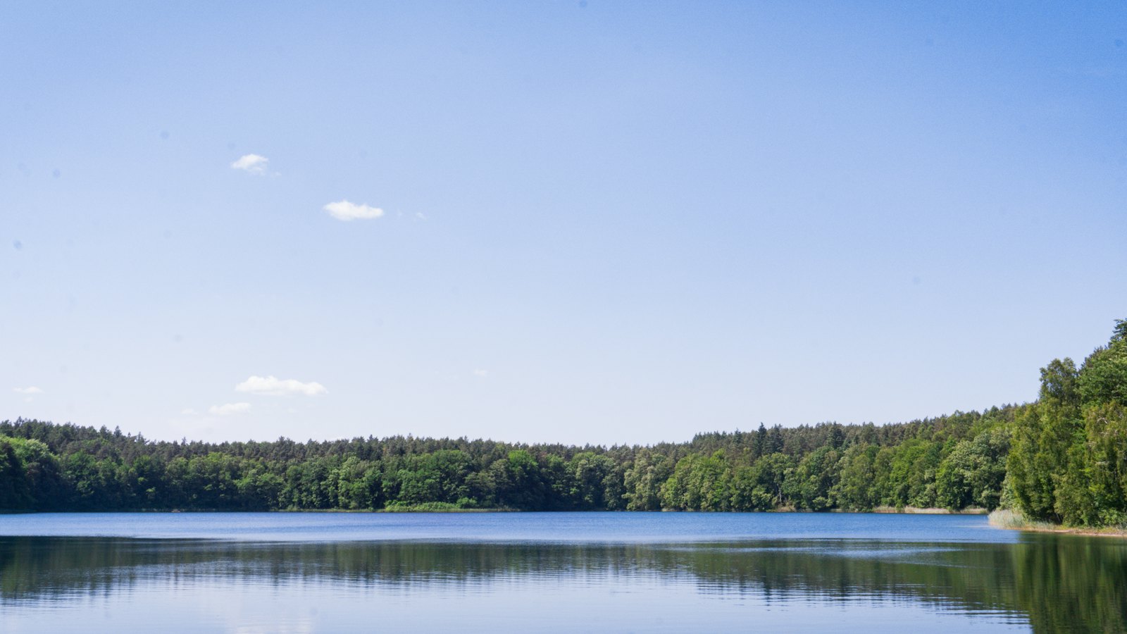 See mit bewaldetem Ufer unter blauem Himmel